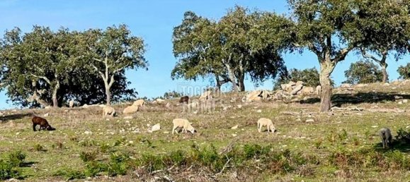 Вилла с 6 спальнями в Порталегри, Португалия № 136589 10