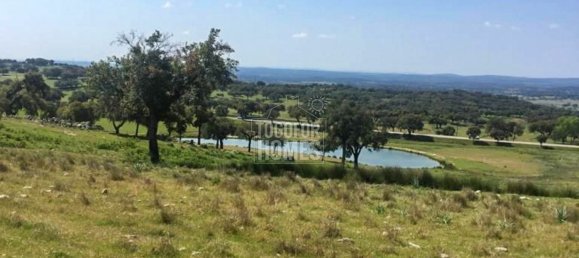 Вилла с 6 спальнями в Порталегри, Португалия № 136589 2