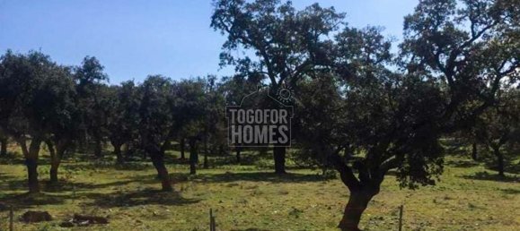 Вилла с 6 спальнями в Порталегри, Португалия № 136589 12