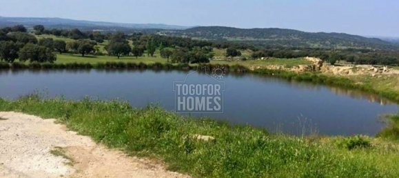 Вилла с 6 спальнями в Порталегри, Португалия № 136589 18