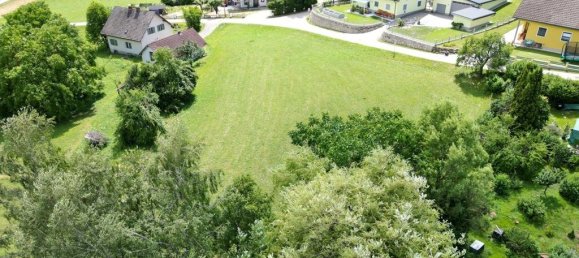 Terrain à Sittersdorf, Austria No. 34306 4