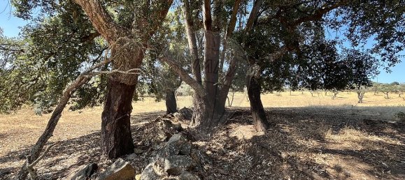 Casa T2 em Arronches, Portugal N.º 29358 34