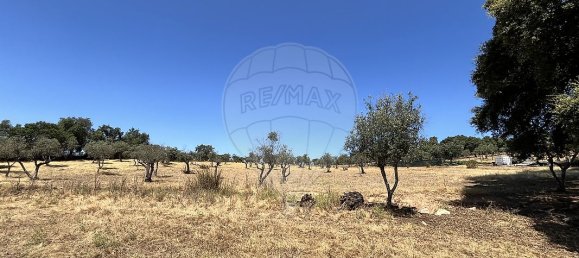 Casa T2 em Arronches, Portugal N.º 29358 4