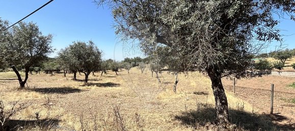 Casa T2 em Arronches, Portugal N.º 29358 31