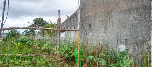 2 bedrooms House in Alqueidao, Portugal No. 212196 5