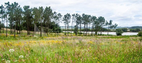 2 bedrooms House in Alqueidao, Portugal No. 212196 23