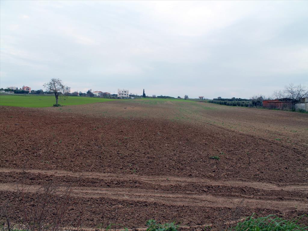 12250m² Land in Epanomi, Greece No. 92990