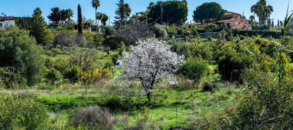  قطعة أرض في Estepona, Spain 480متر مربع رقم 151043 23