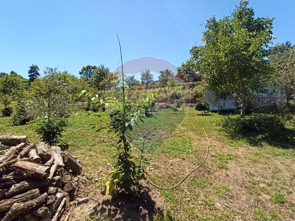 12 bedrooms House in Arcos de Valdevez, Portugal No. 19705