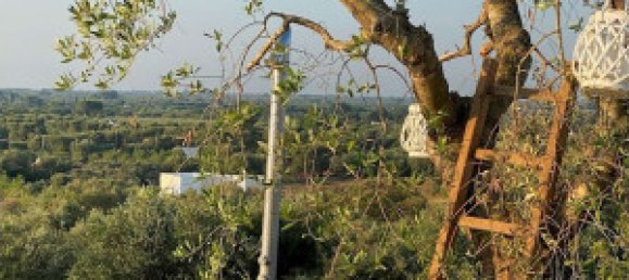 5 rooms Villa in Ostuni, Italy No. 118524 15