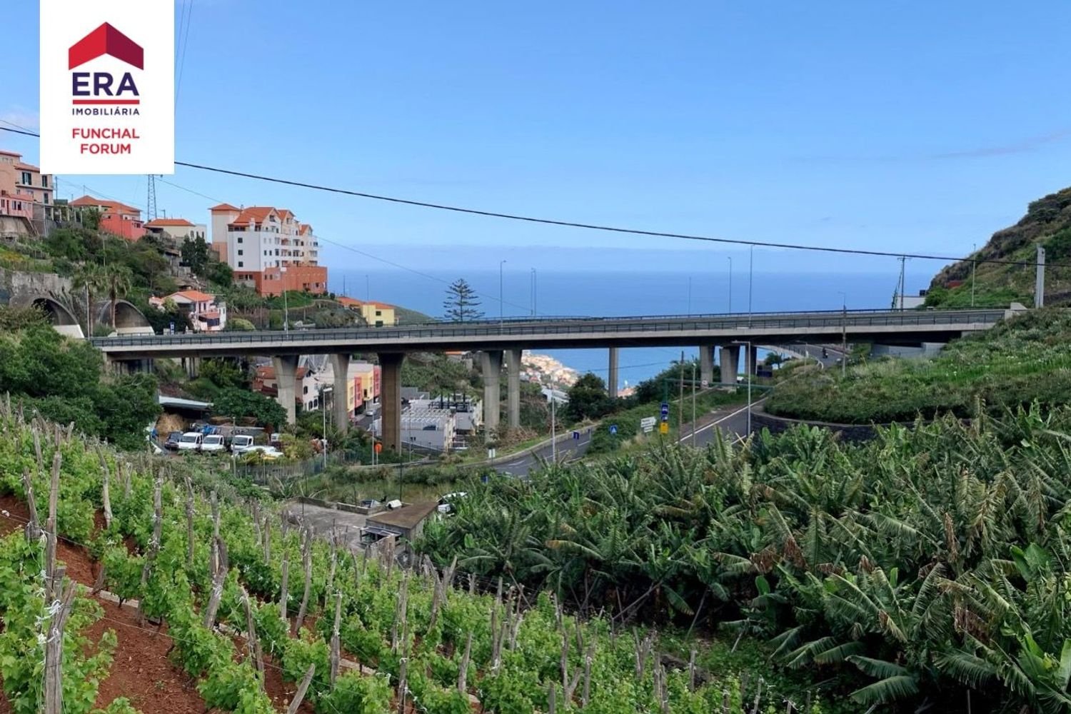  Land in Camara de Lobos, Portugal No. 335349