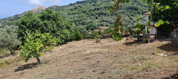 754m² Land in Militello Rosmarino, Italy No. 288908 2