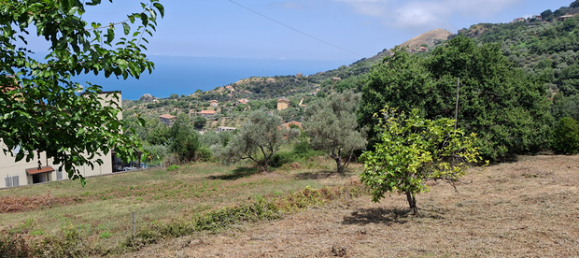 754m² Land in Militello Rosmarino, Italy No. 288908 3