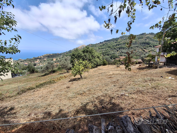 754m² Land in Militello Rosmarino, Italy No. 288908