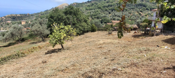754m² Land in Militello Rosmarino, Italy No. 288908 5