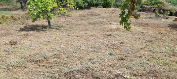 754m² Land in Militello Rosmarino, Italy No. 288908 4