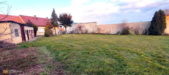 Terreno de 3 divisões em Potzneusiedl, Austria N.º 18278 2