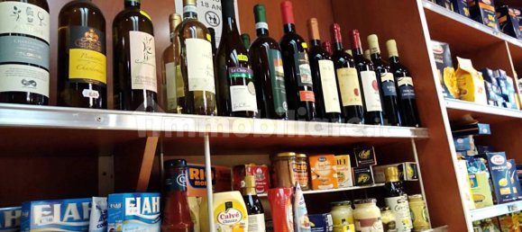 2 rooms Commercial property in Turin, Italy No. 315113 4