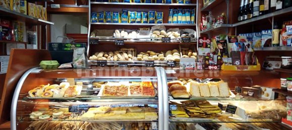 2 rooms Commercial property in Turin, Italy No. 315113 14