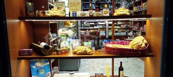 2 rooms Commercial property in Turin, Italy No. 315113 10