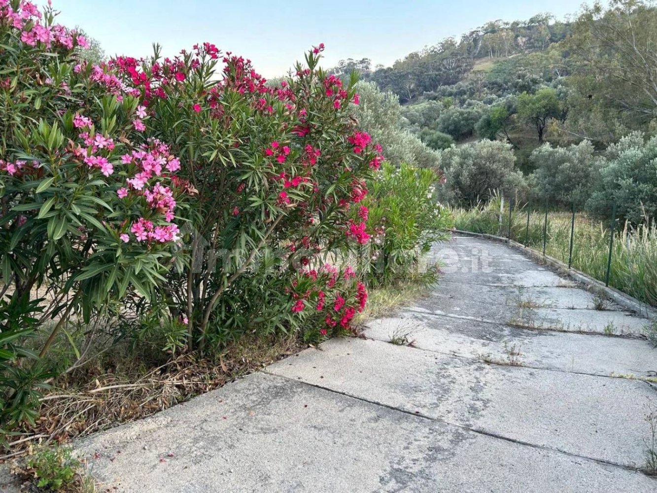 4 bedrooms Villa in Caulonia, Italy No. 340115