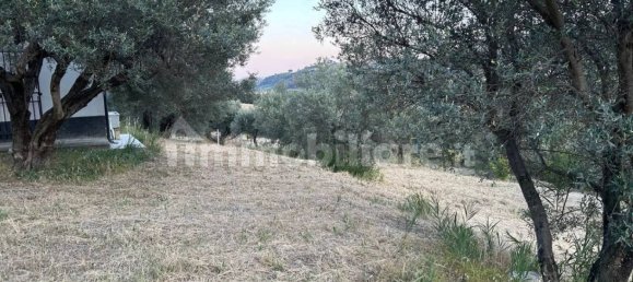 4 bedrooms Villa in Caulonia, Italy No. 340115 2