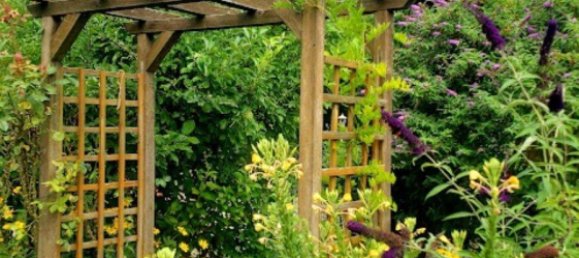 1 chambre Bungalow à Hakenfelde, Germany No. 262970 14