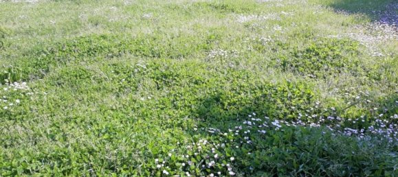 12 rooms Villa in Cascina, Italy No. 193226 25