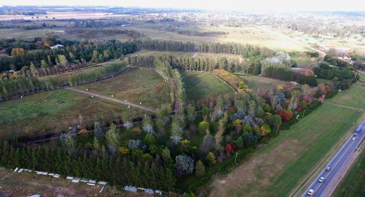 Terreno en San Antonio de Areco, Argentina No. 47235