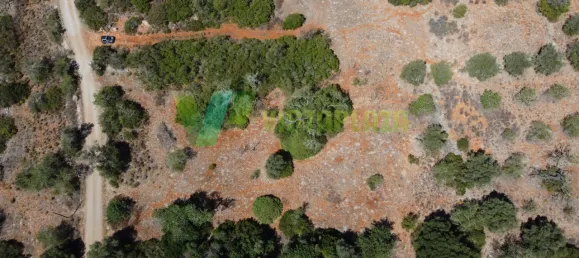 2800m² Land in Sao Bartolomeu de Messines, Portugal No. 74081 3