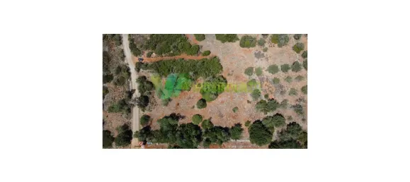 2800m² Land in Sao Bartolomeu de Messines, Portugal No. 74081 6