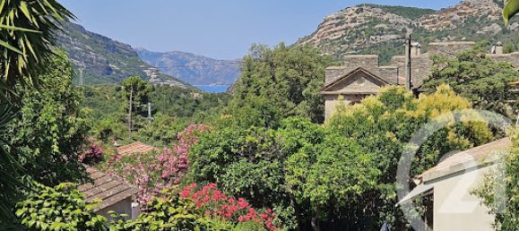 4 bedrooms Villa in Patrimonio, France No. 231157 8