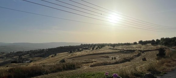 7 غرف نوم منزل في Paphos, Cyprus رقم 9980 11