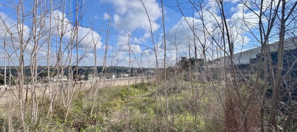 2-Zimmer Villa in Ceglie Messapica, Italy, Nr. 21801 8