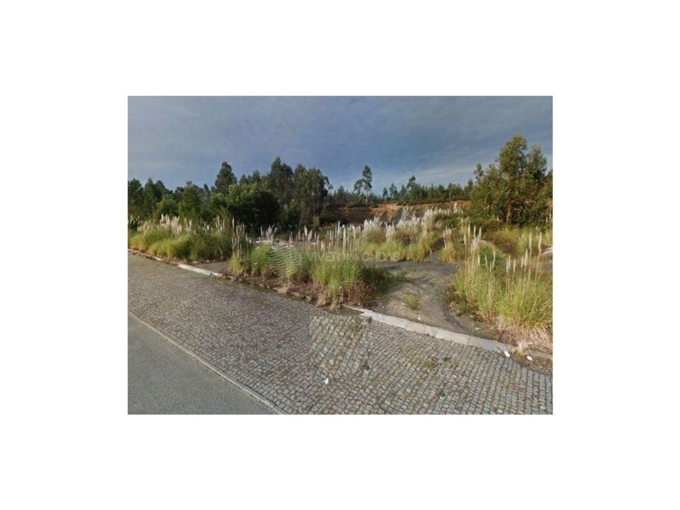 9990m² Land in Vila Nova de Famalicao, Portugal No. 36131