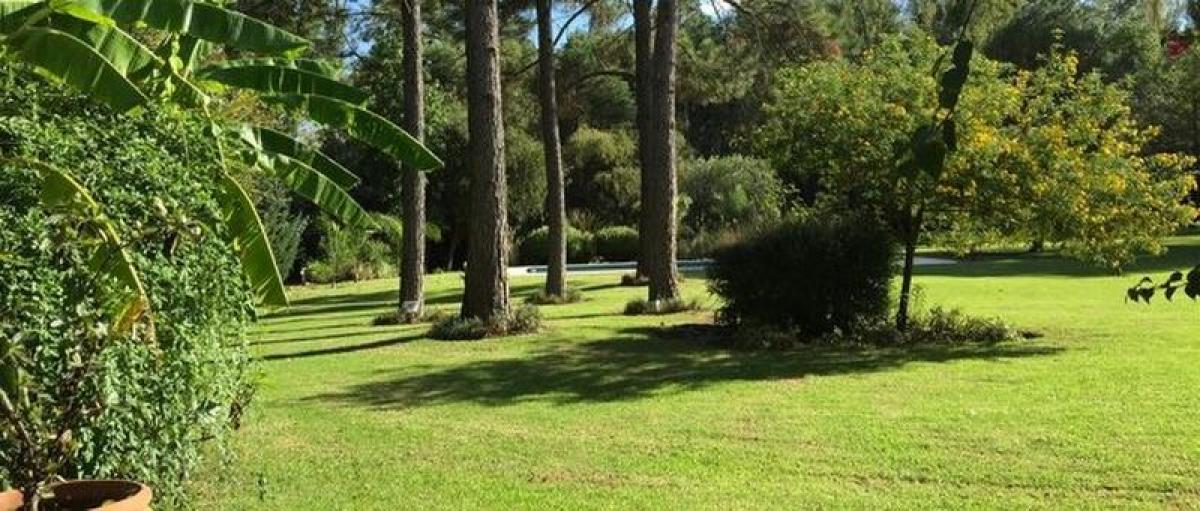  Land in Moreno, Argentina No. 121532