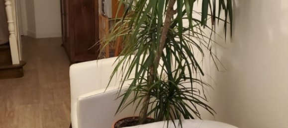 6 Schlafzimmer Haus in Saint-Quentin, France, Nr. 64725 5