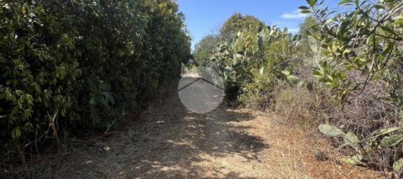 2 bedrooms House in Sorso, Italy No. 324995 40