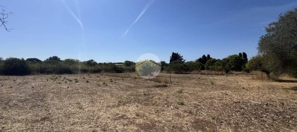 2 bedrooms House in Sorso, Italy No. 324995 32