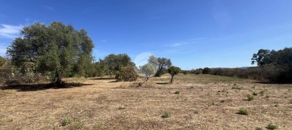 2 bedrooms House in Sorso, Italy No. 324995 38