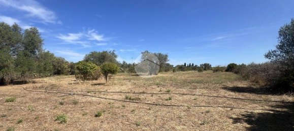 2 bedrooms House in Sorso, Italy No. 324995 35