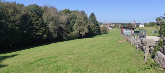 Terreno en Dannelbourg, France No. 235049 2