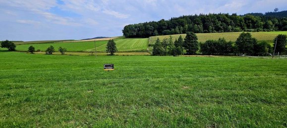  Land in Eberschwang, Austria No. 228393 2