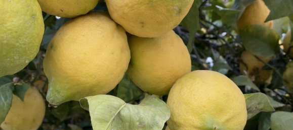 Villa T4 em Benahavis, Spain N.º 57374 10