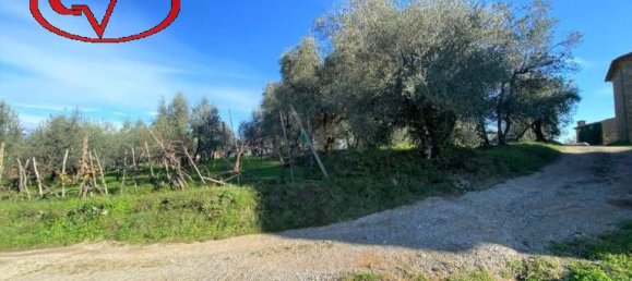 6 rooms Villa in Montevarchi, Italy No. 234890 9