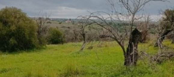 15000m² Land in Floridia, Italy No. 179289 9