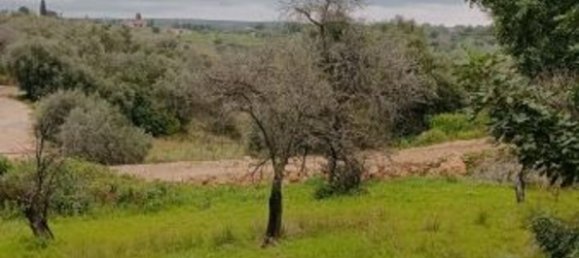 15000m² Land in Floridia, Italy No. 179289 7