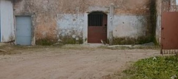 15000m² Land in Floridia, Italy No. 179289 3