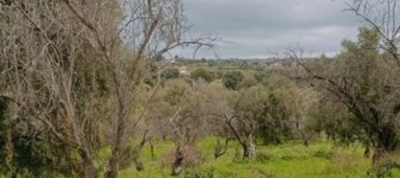 15000m² Land in Floridia, Italy No. 179289 11