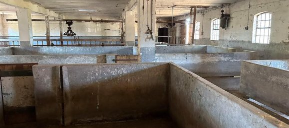 Ферма с 5 спальнями в Нинбург, Германия № 340818 23